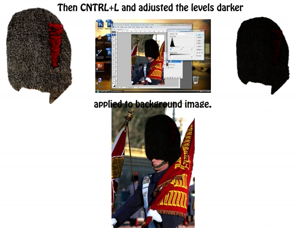 Creation of Her Majesty's Gaurd: Step 2